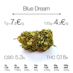Blue Dream - cogollo CBD