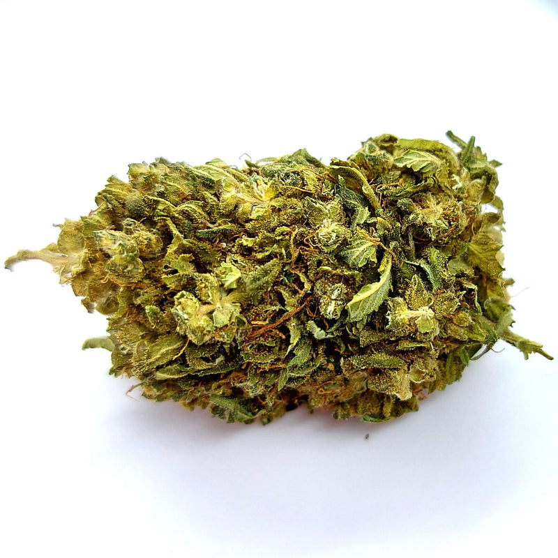 Blue Dream - cogollo CBD