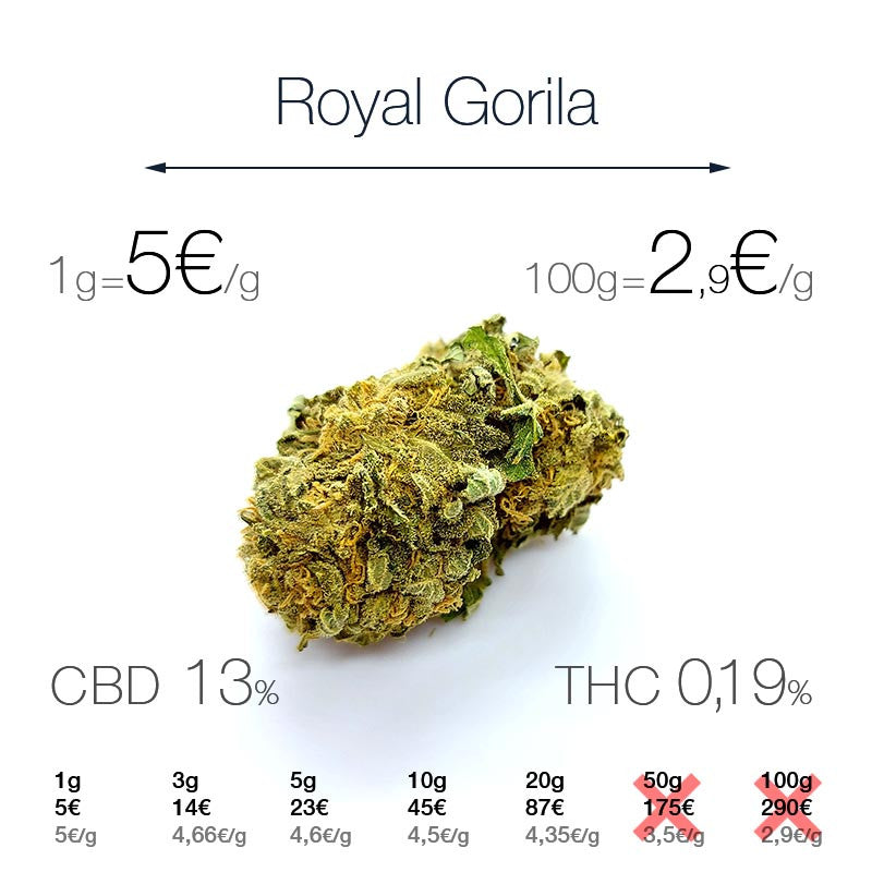 Royal Gorila - cogollo CBD