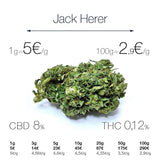 Jack Herer - cogollo CBD
