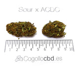 Sour x ACDC - cogollo CBD