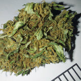Nemesis - cogollo CBD