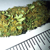 Nemesis - cogollo CBD