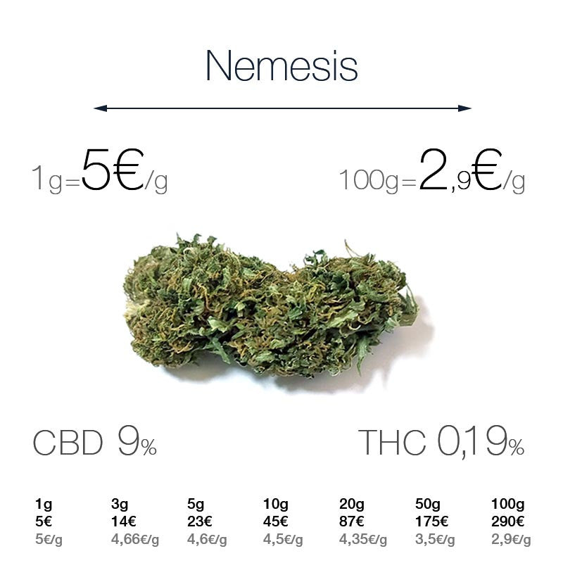 Nemesis - cogollo CBD
