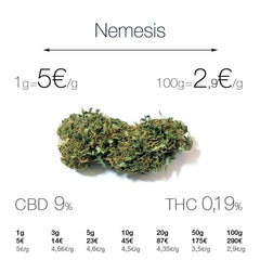 Nemesis - cogollo CBD