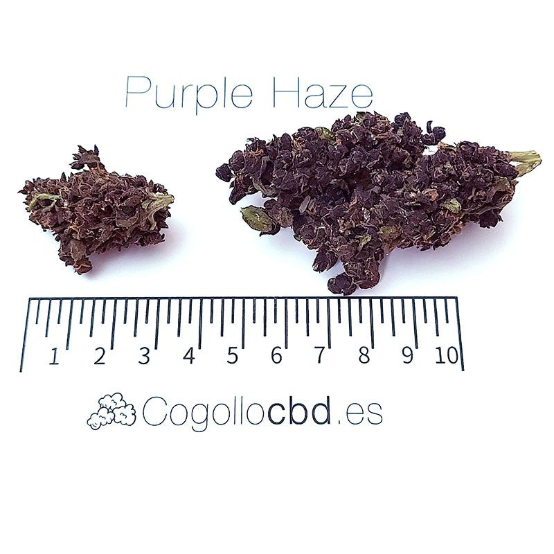 Purple haze - cogollo CBD