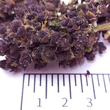 Purple haze - cogollo CBD