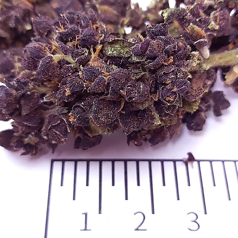 Purple haze - cogollo CBD