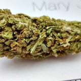 MARY JANE - Exterior