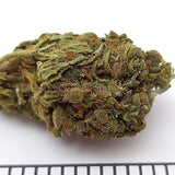 MARY JANE - Exterior