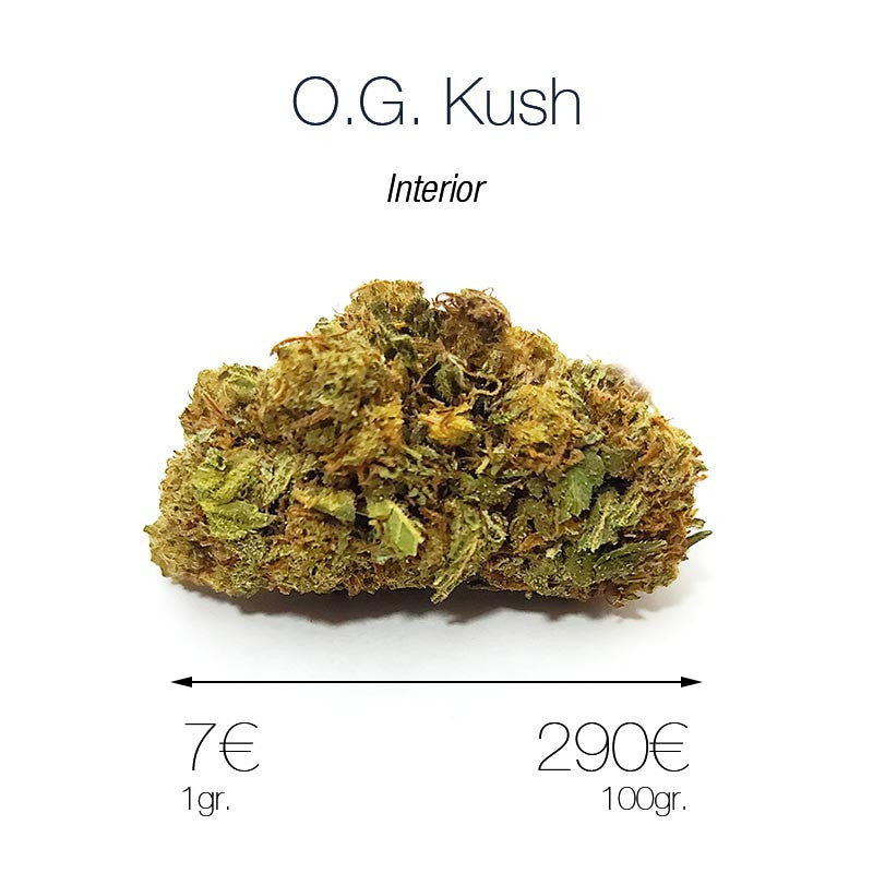O.G. KUSH 13.5% CBD - Interior