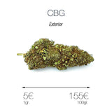 CBG - cogollo CBG