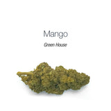 Mango - cogollo CBD
