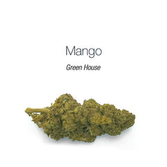 Mango - cogollo CBD