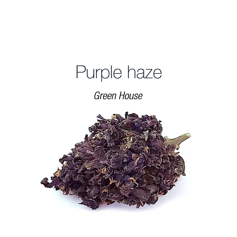 Purple haze - cogollo CBD