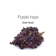 Purple haze - cogollo CBD