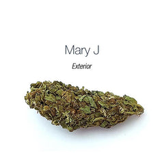 MARY JANE - Exterior