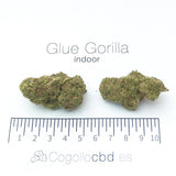 Glue Gorilla - interior