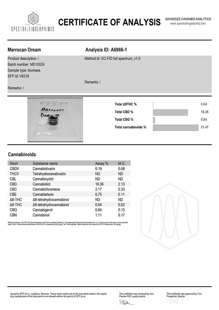 MAROC DREAM 21% CBD