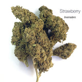 STRAWBERRY 9.27% CBD - Invernadero
