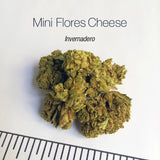 Mini Flores CHEESE O.G. - cogollo CBD