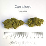 CANNATONIC 5.5% CBD - Invernadero