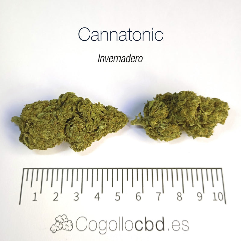 CANNATONIC 5.5% CBD - Invernadero