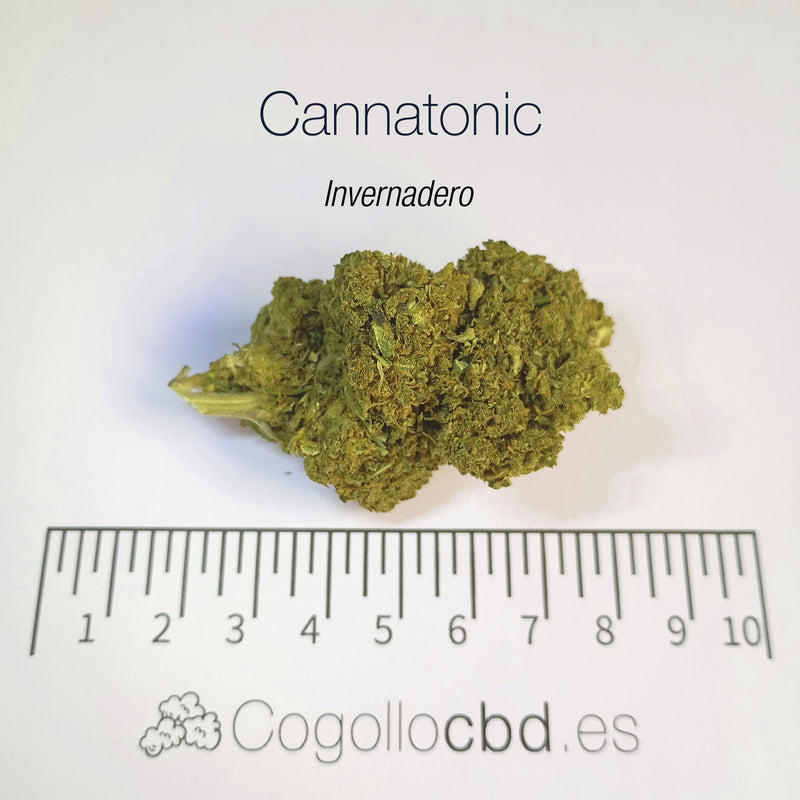 CANNATONIC 5.5% CBD - Invernadero
