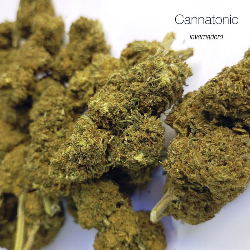 CANNATONIC 5.5% CBD - Invernadero