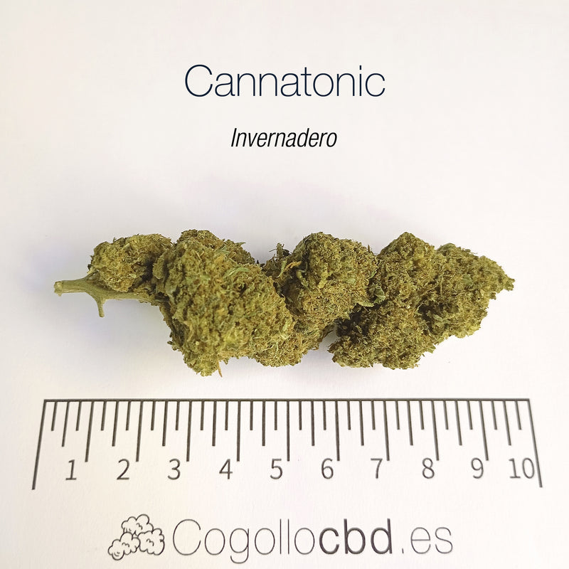 CANNATONIC 5.5% CBD - Invernadero