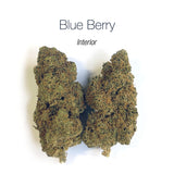 BLUEBERRY 5.24% CBD - Interior