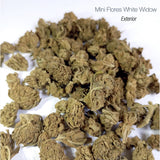 Mini Flores WHITE WIDOW - Exterior
