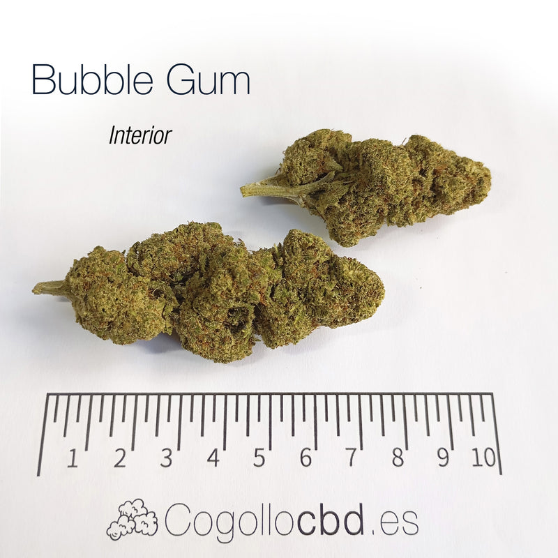BUBBLE GUM 17.54% CBD - Interior