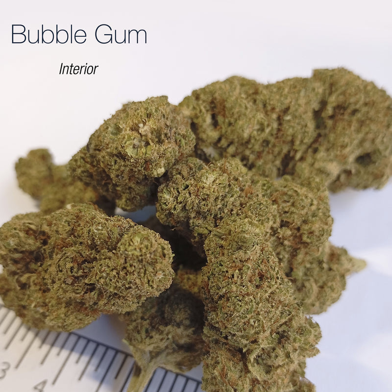 BUBBLE GUM 17.54% CBD - Interior