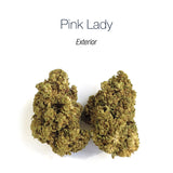 PINK LADY - Exterior