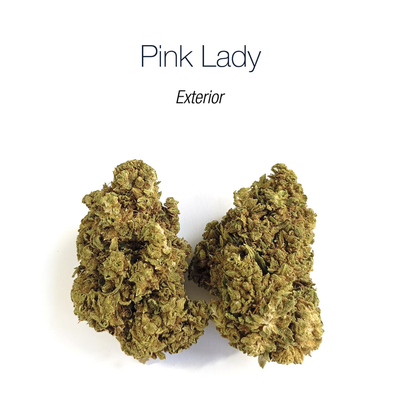 PINK LADY - Exterior