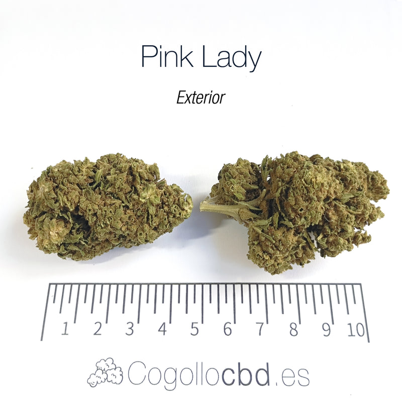 PINK LADY - Exterior
