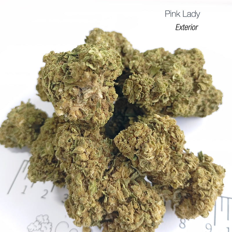 PINK LADY - Exterior