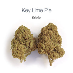 KEY LIME PIE - Exterior