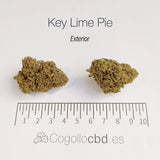 KEY LIME PIE - Exterior