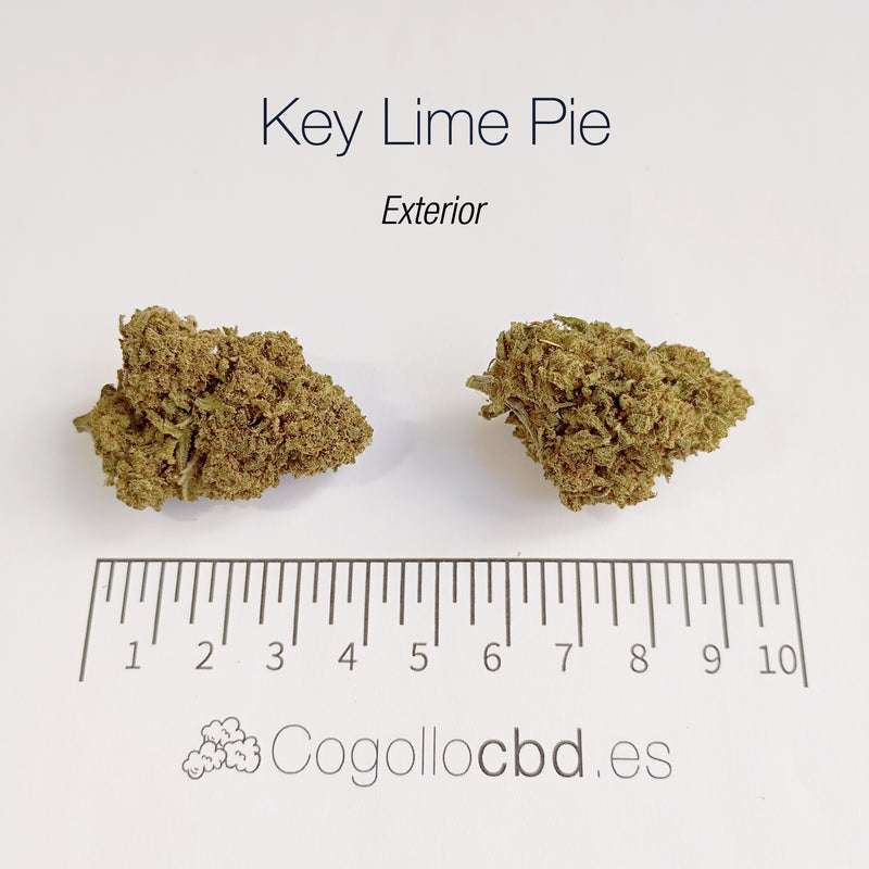 KEY LIME PIE - Exterior