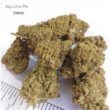 KEY LIME PIE - Exterior