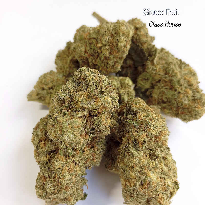 GRAPE FRUIT 15.4% CBD - Glass House