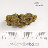GELATTO 41 15.5% CBD - Glass House