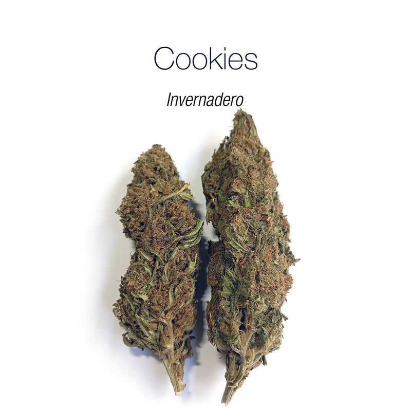 GIRL SCOUT COOKIES 8.9% CBD - Invernadero
