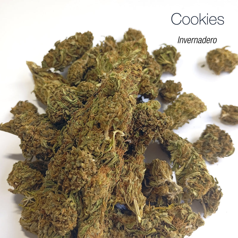 GIRL SCOUT COOKIES 8.9% CBD - Invernadero