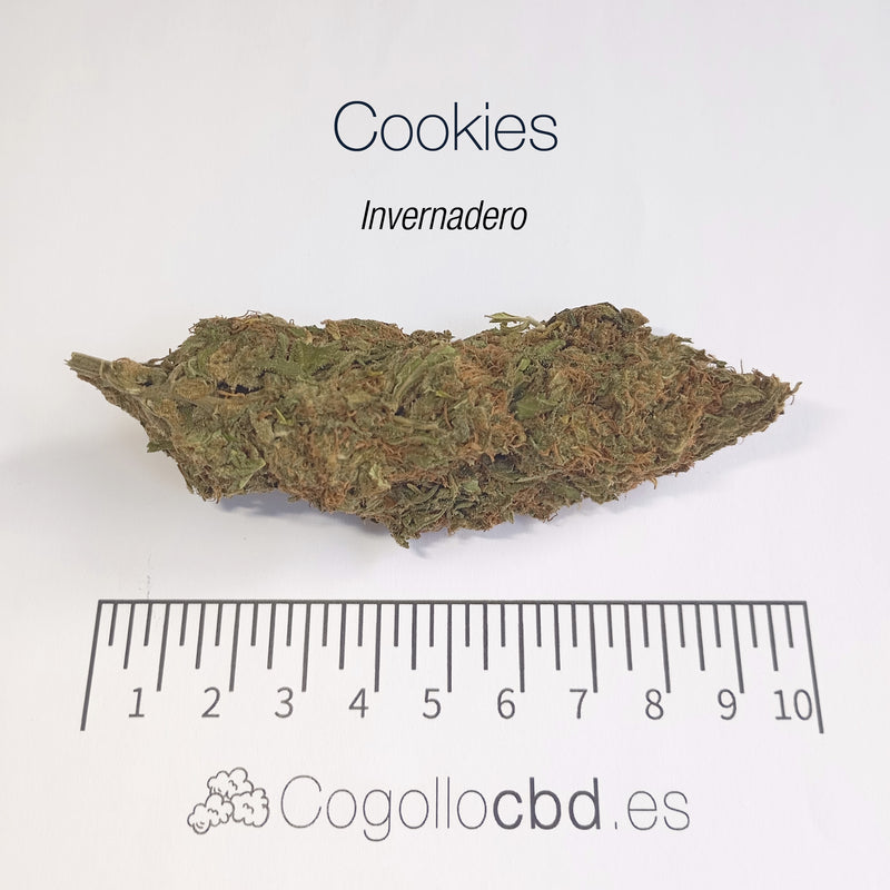 GIRL SCOUT COOKIES 8.9% CBD - Invernadero