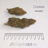 GIRL SCOUT COOKIES 8.9% CBD - Invernadero