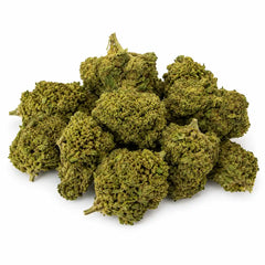 ALIEN FRUIT 9.07% CBD - Interior