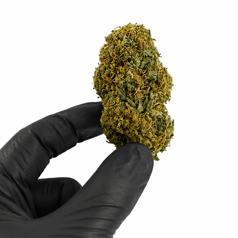 AMNESIA 20,09% CBD - Glass House
